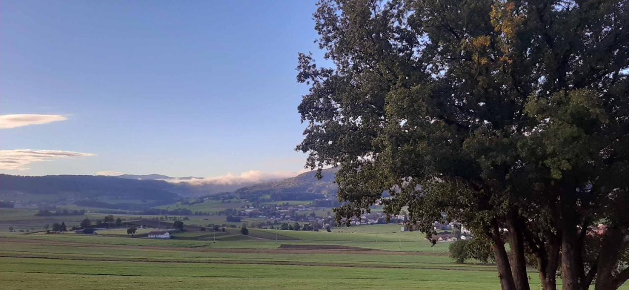 Gasthof Zum Wirt Ferienwohnung Hohenbogenblick Neukirchen beim Heiligen Blut Buitenkant foto